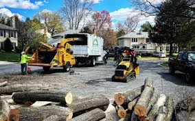 Best Emergency Tree Removal  in West Valley City, UT